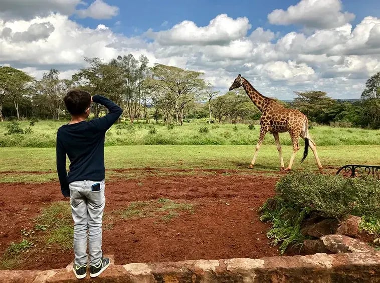 giraffe manor hotel kenia afrika the family project luxus giraffen kind blick