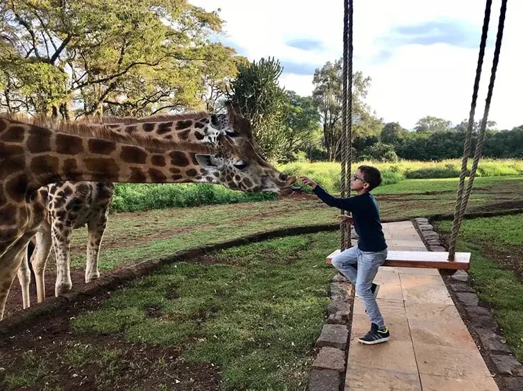 giraffe manor hotel kenia afrika the family project luxus giraffen kind schaukel futtern
