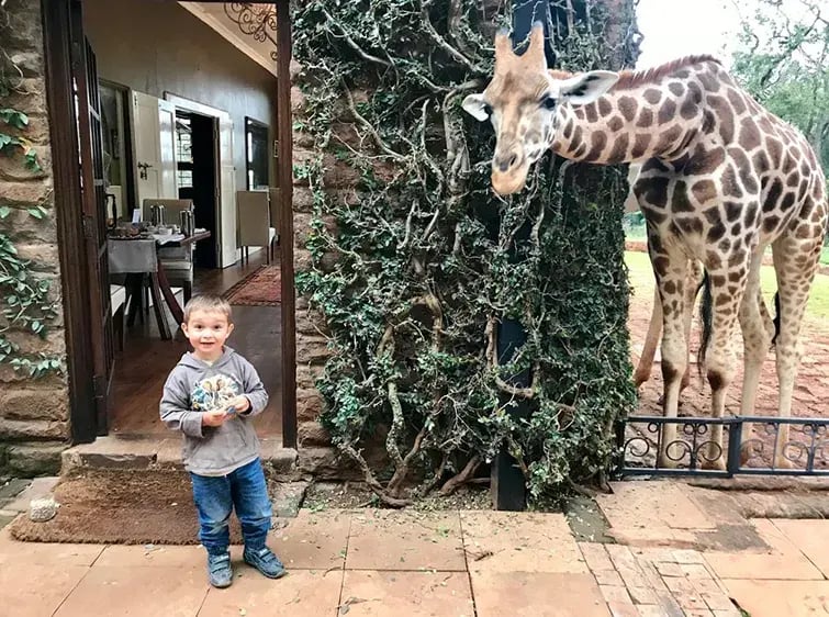 giraffe manor hotel kenia afrika the family project luxus giraffen kind