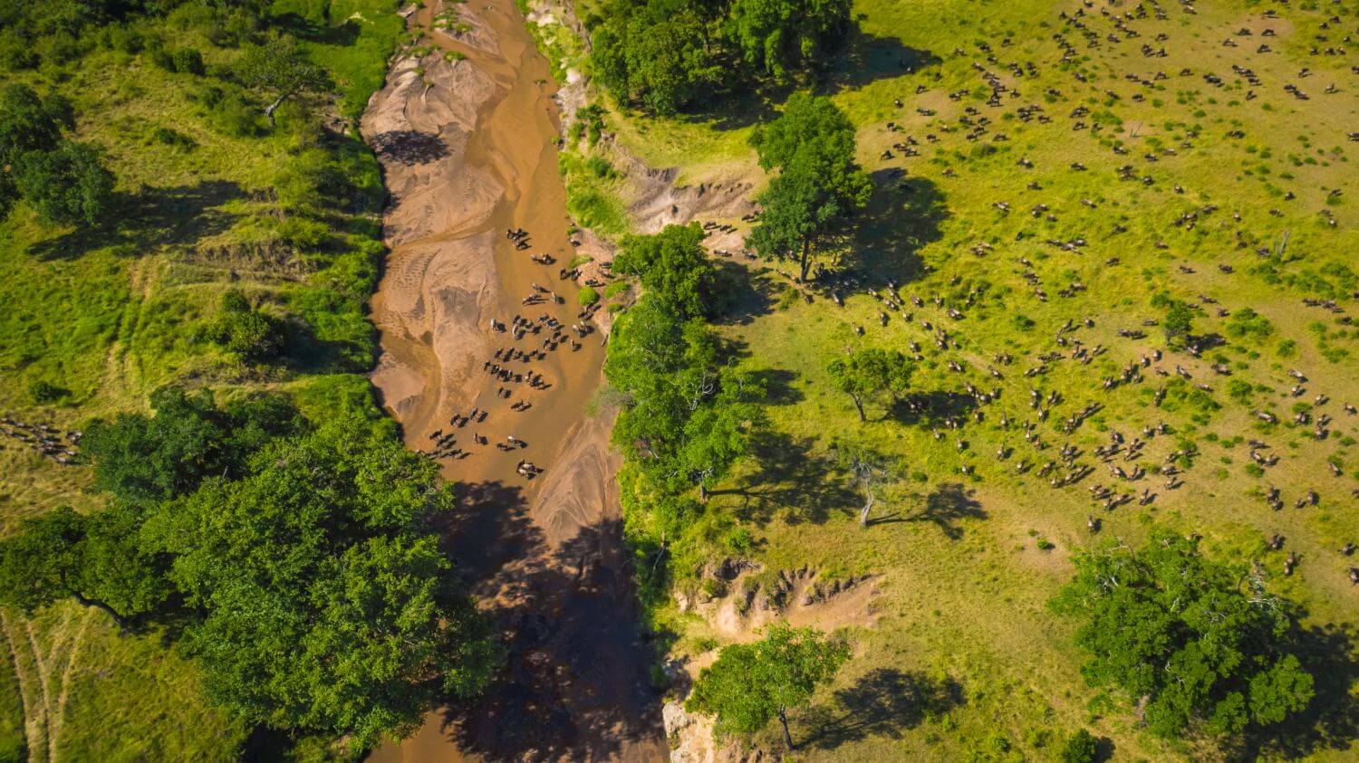 Wilde Umgebung einer Lodge aus der Vogelperspektive. In der Mitte verläuft ein Fluss.