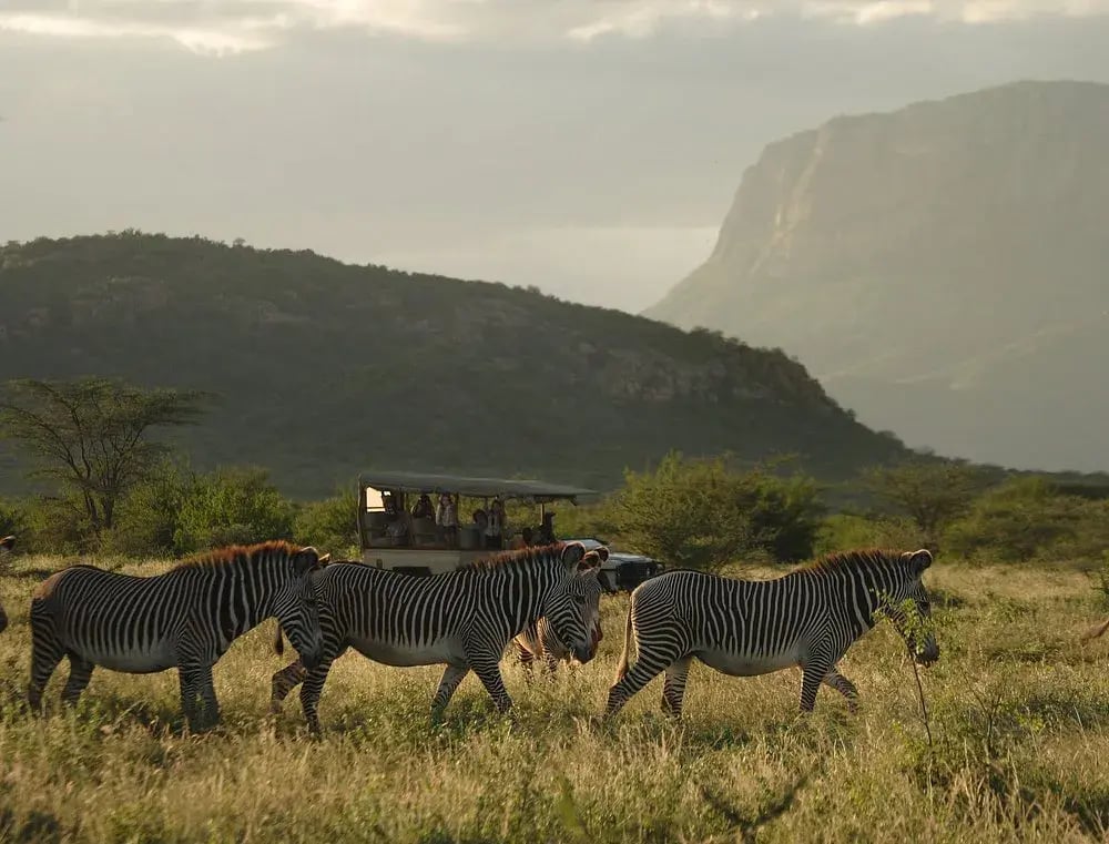 saruni samburu kenia safari