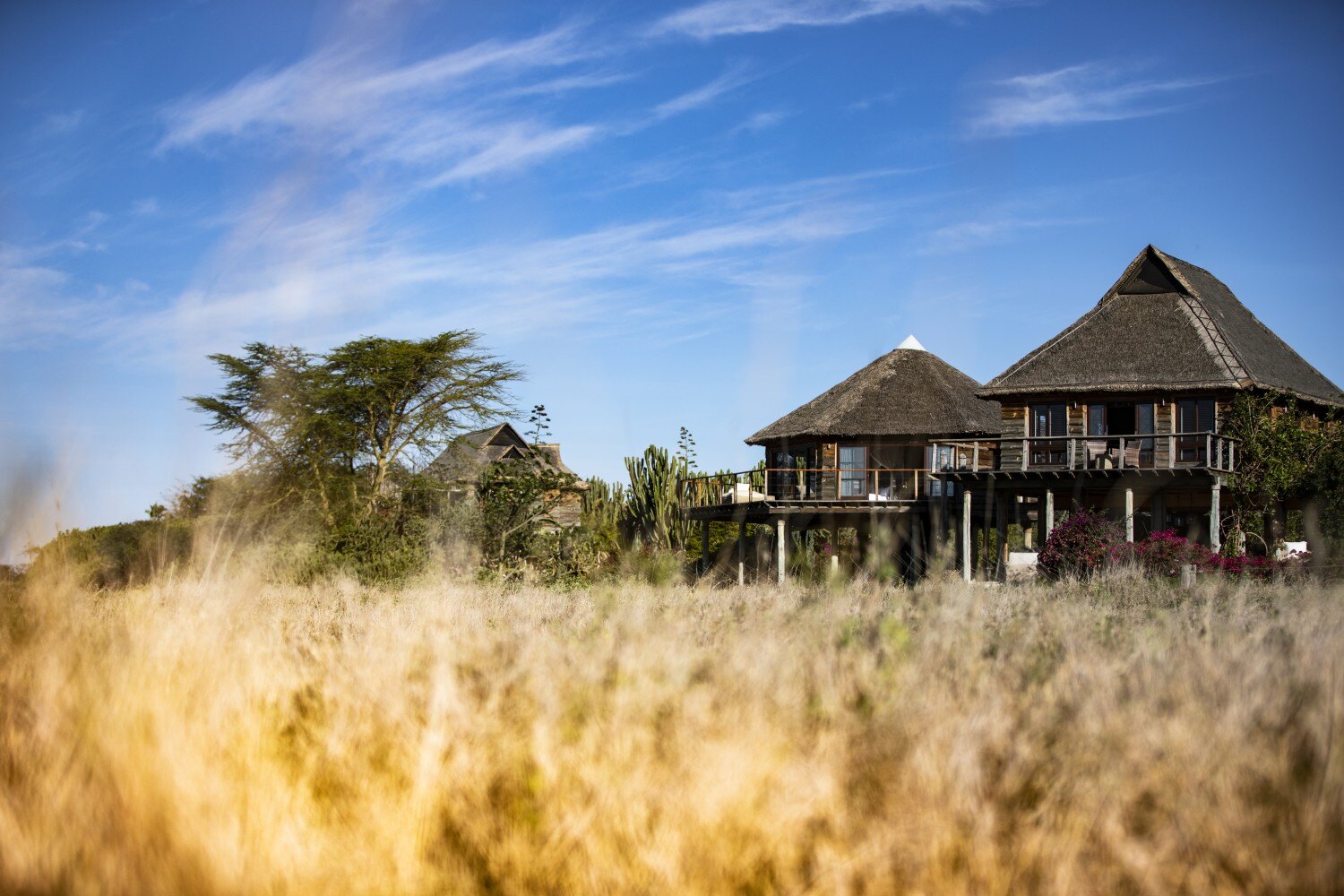 Segera Retreat mit seinen Cottages durch die Graslandschaft betrachtet.