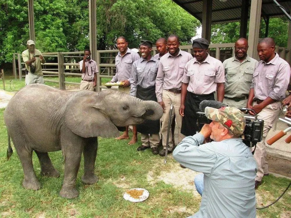 abu camp botswana little elefant