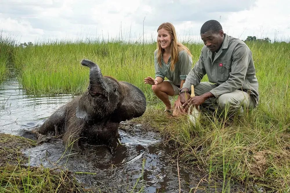 abu camp botswana schlammbaden