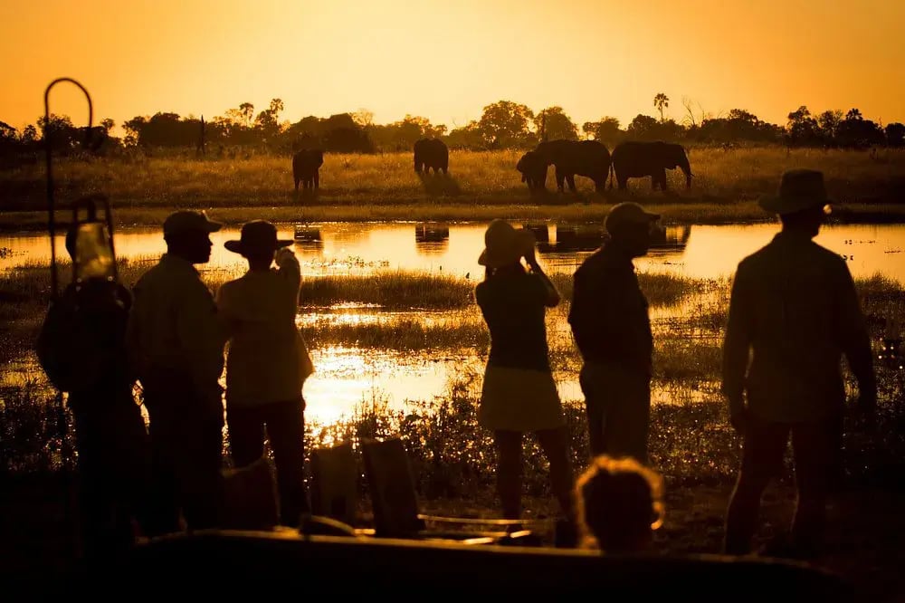 abu camp botswana sunset