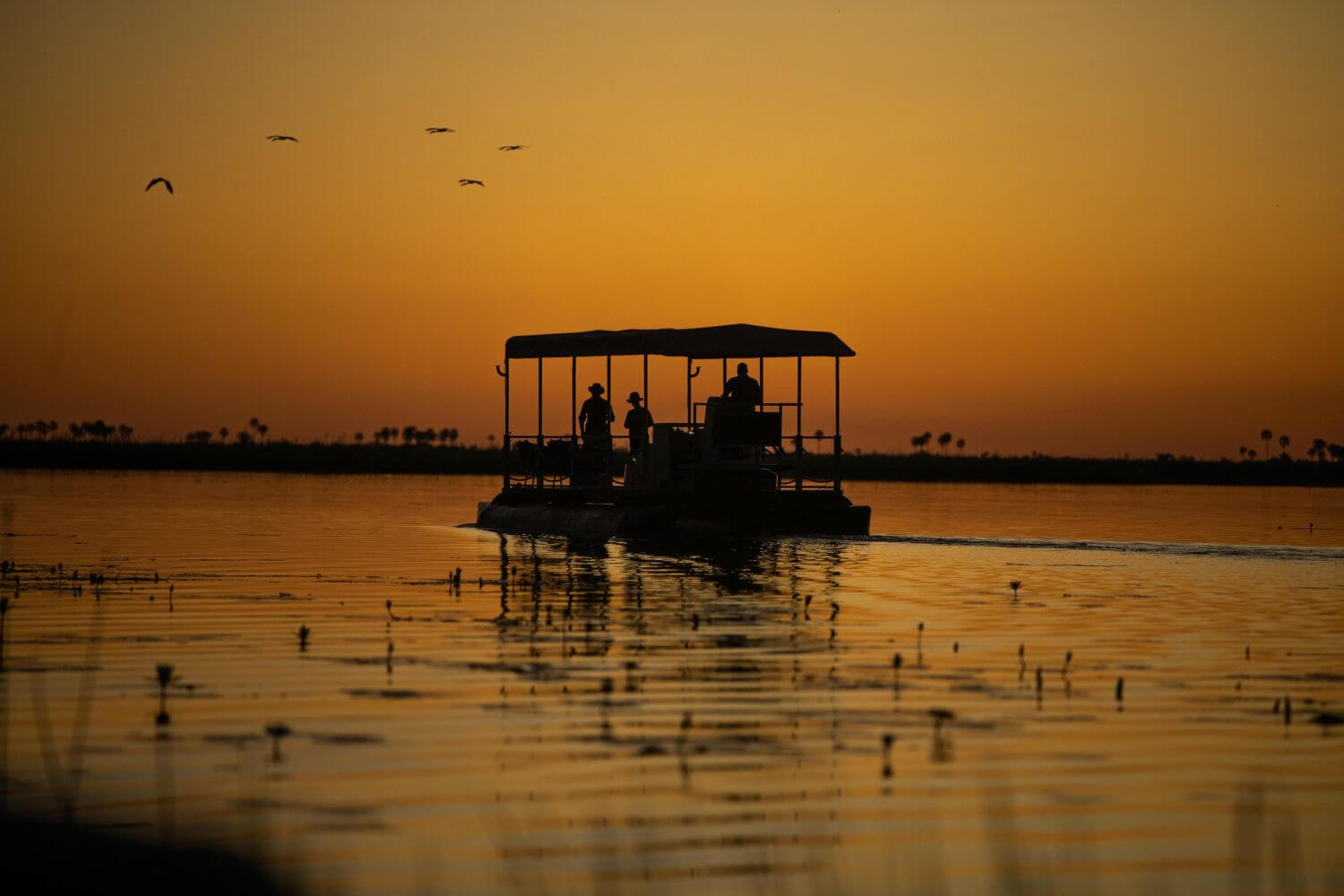 Eine Barke fährt bei schönstem Sonnenuntergang über den Fluss.
