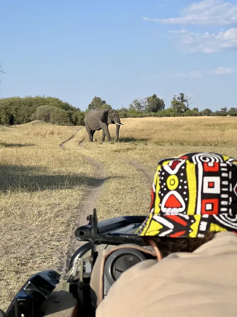 Auf Safari wurde ein Elefant in der Ferne erspäht.
