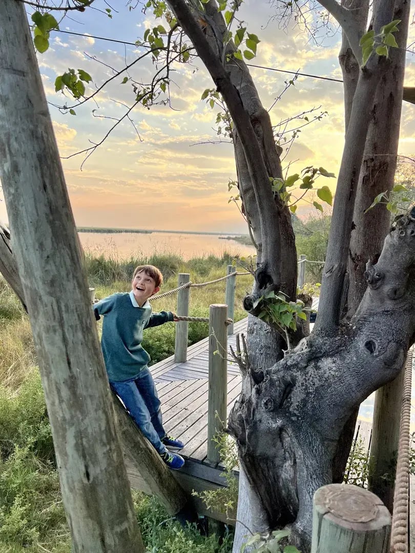 Klettervergnügen im Baum, ein Junge steht zwischen den Stämmen.