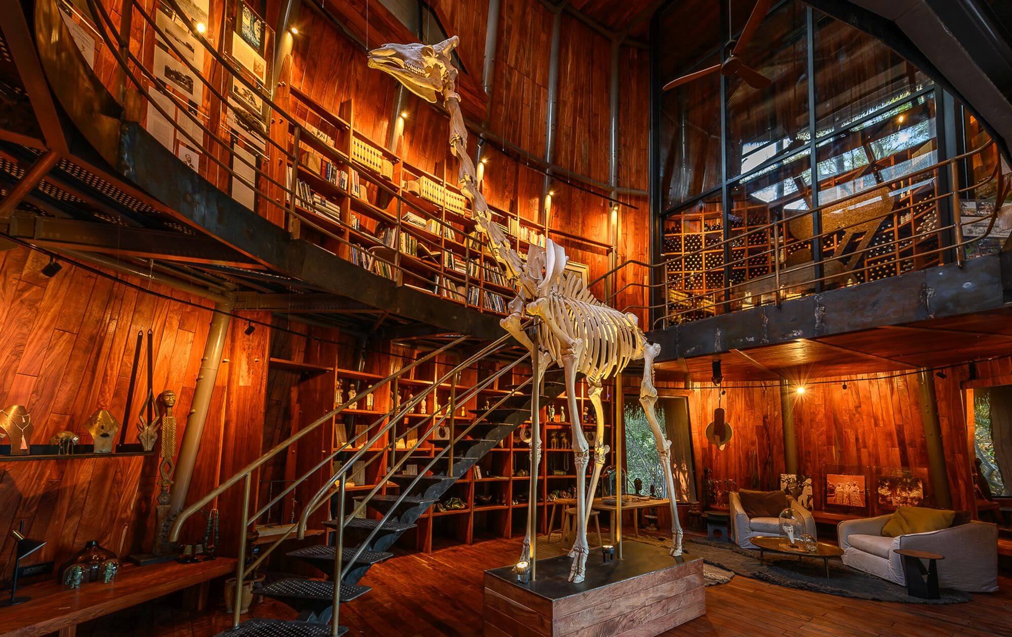 Das Skelett einer Giraffe steht in der Bibliothek des Jao Camp.