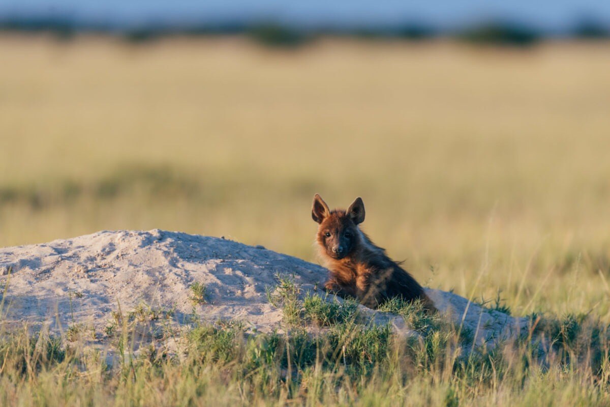 San-Camp-Botswana-Familienluxusreisen-Safari