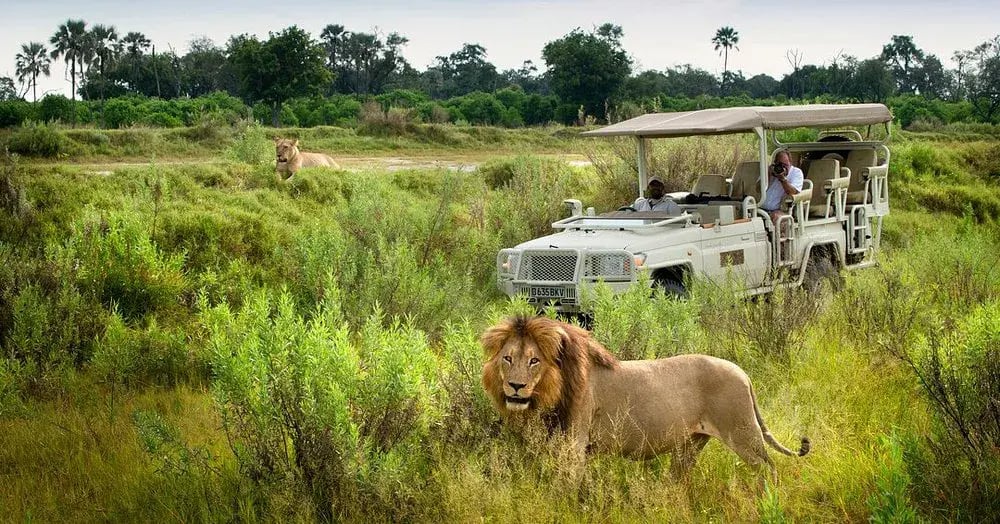 xigera safari lodge botswana lowe