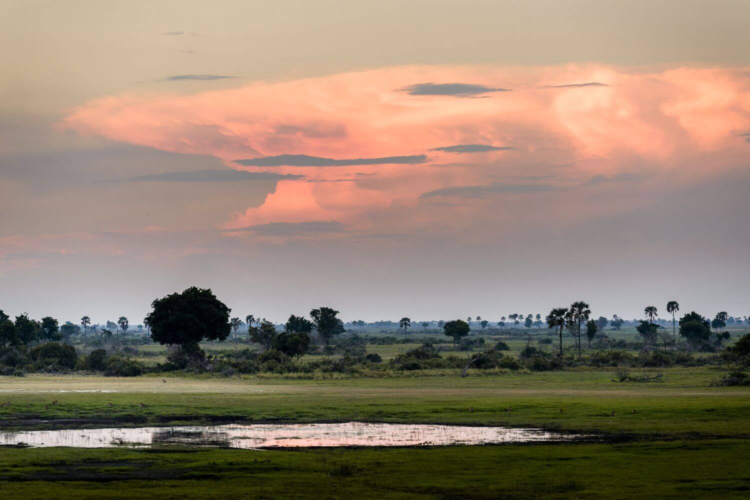 Sonnenuntergang und ein Blick in die weite, grüne Landschaft.