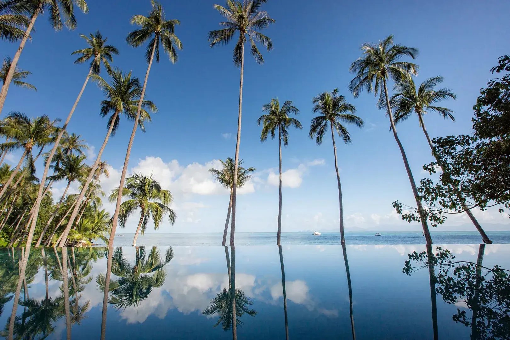 1 asien thailand fourseasonskohsamui the family project luxus familie kinder familienfreundlich pool paradies natur