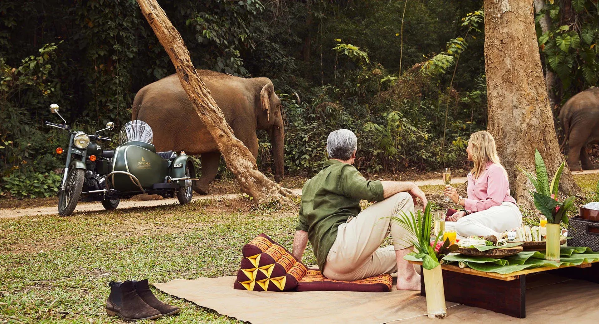 anantaragoldentriangleelephantcamp fun