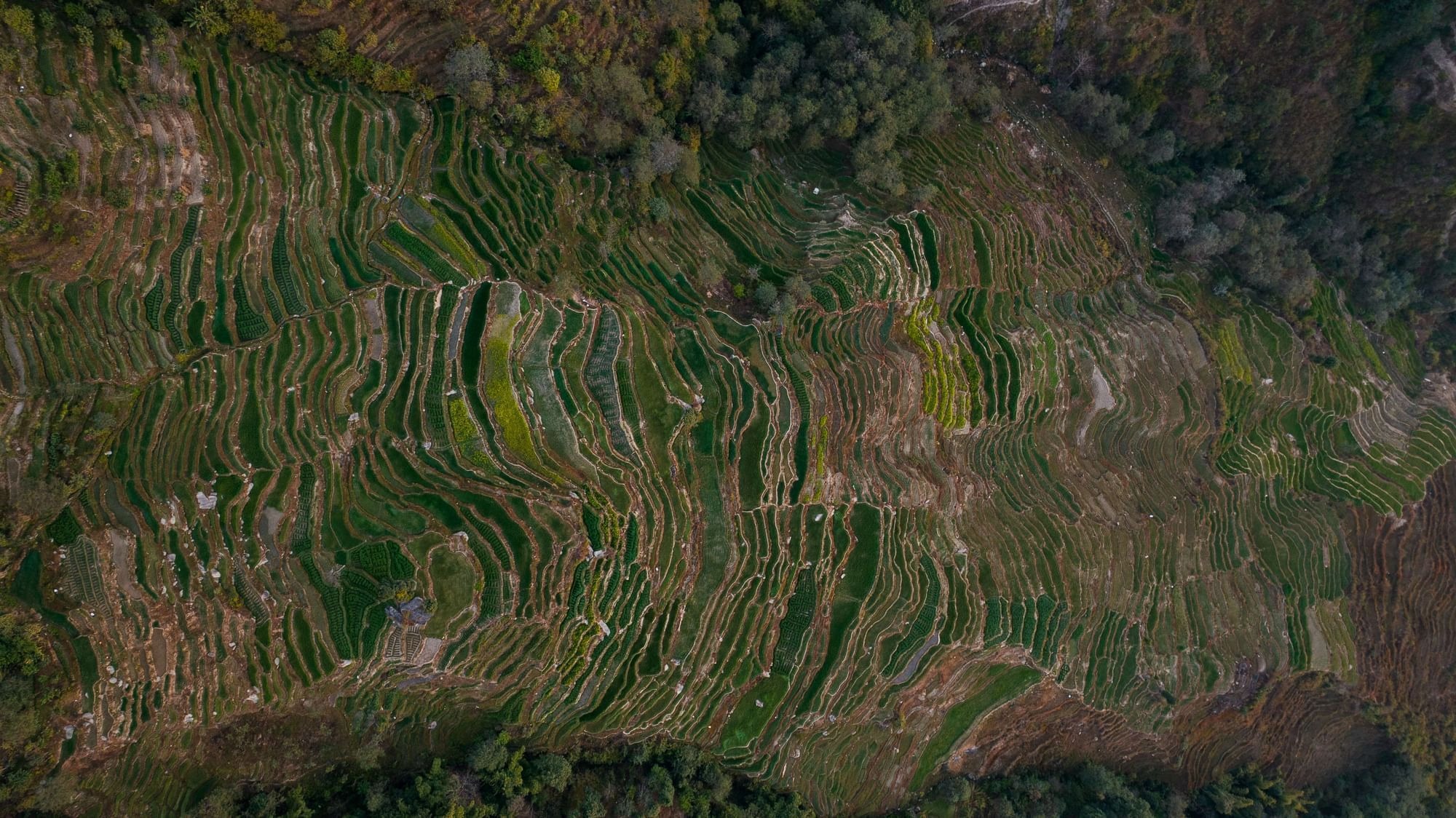 dwarikas-sanctuary-nepal-familienluxusreisen-thefamilyproject-luftbildaufnahme-natur