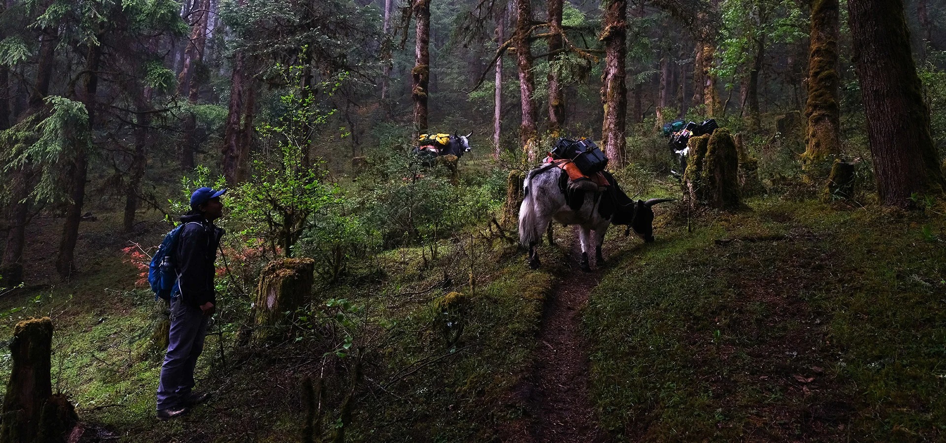 the-happy-house-nepal-familienluxusreisen-thefamilyproject-esel-wanderung