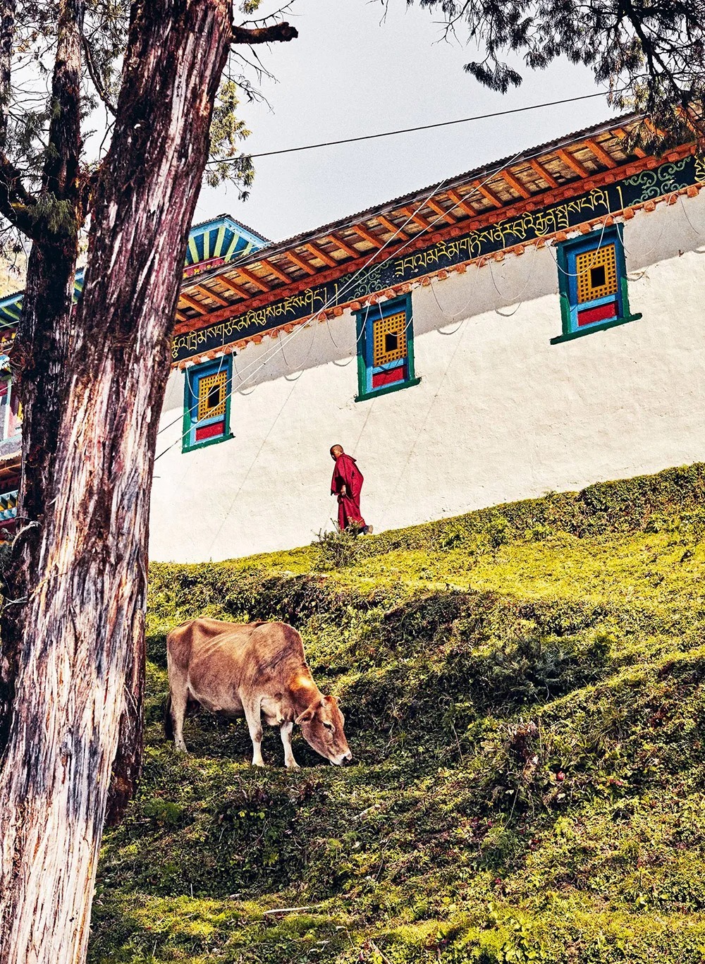 the-happy-house-nepal-familienluxusreisen-thefamilyproject-esel
