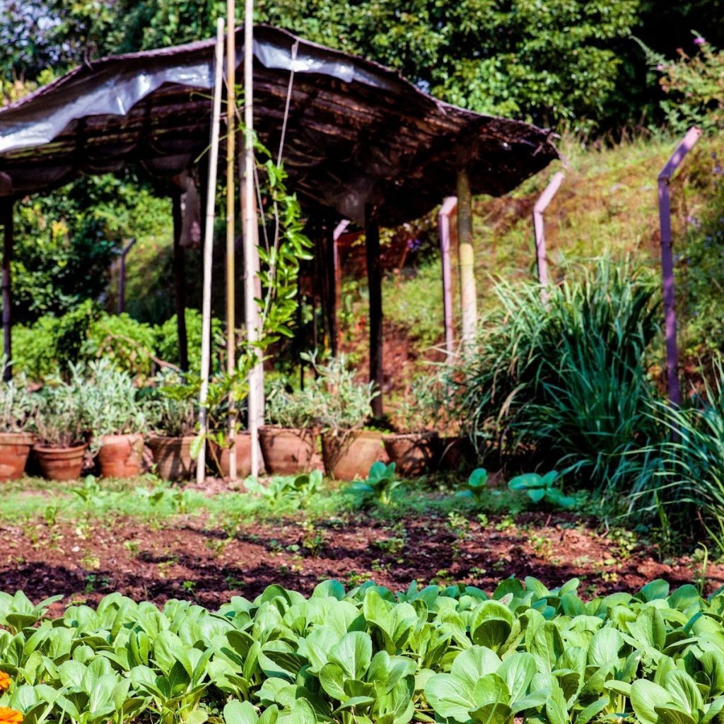 tiger-mountain-pokhara-lodge-familienluxusreisen-thefamilyproject-garden