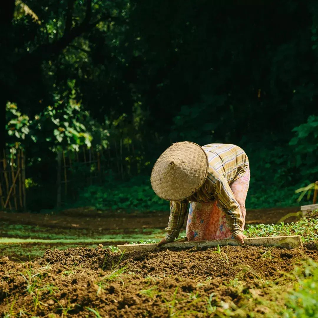rosewood luangprabang landfarm