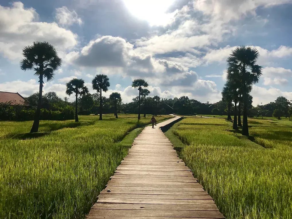 phum baitang p11