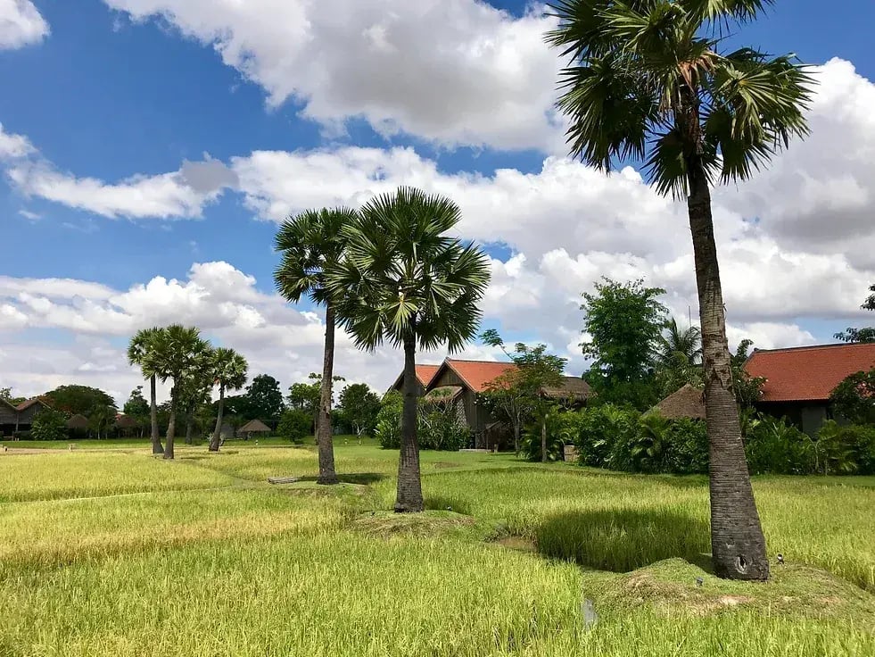 phum baitang p14