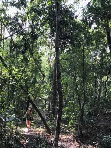 six senses krabey jungle