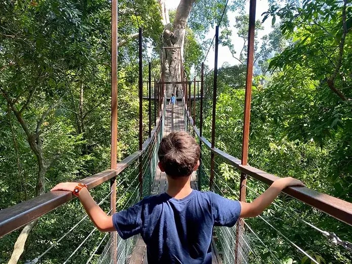 asien langkawi thedatailangkawi the family project familie kinder privatbilder canopy walk1