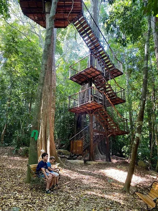 datai langkawi p10