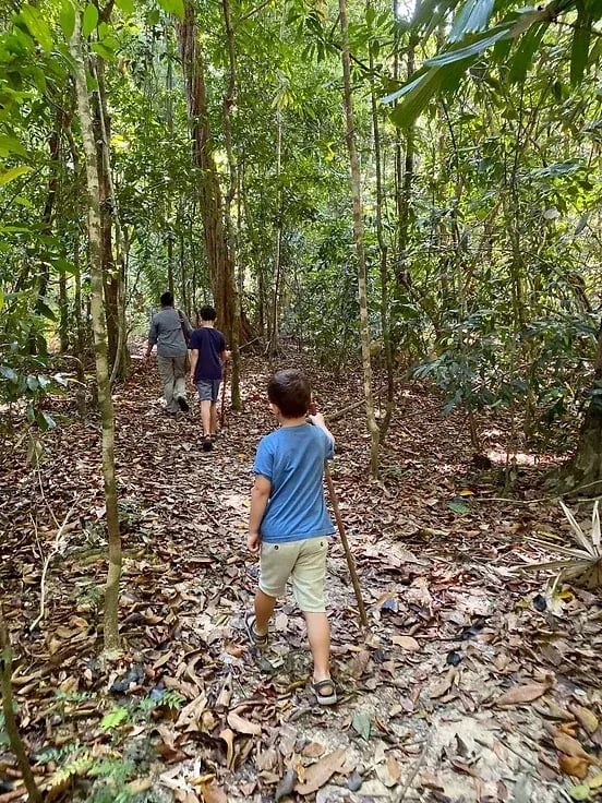 datai langkawi p6