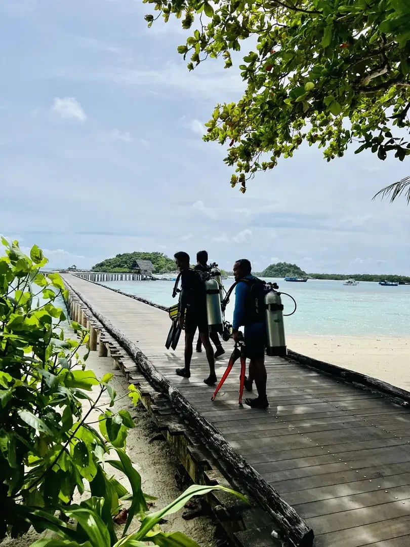 bawah reserve p16
