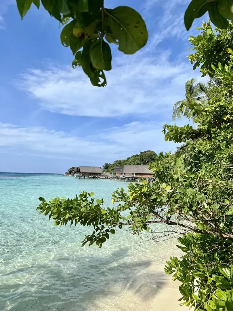bawah reserve p24