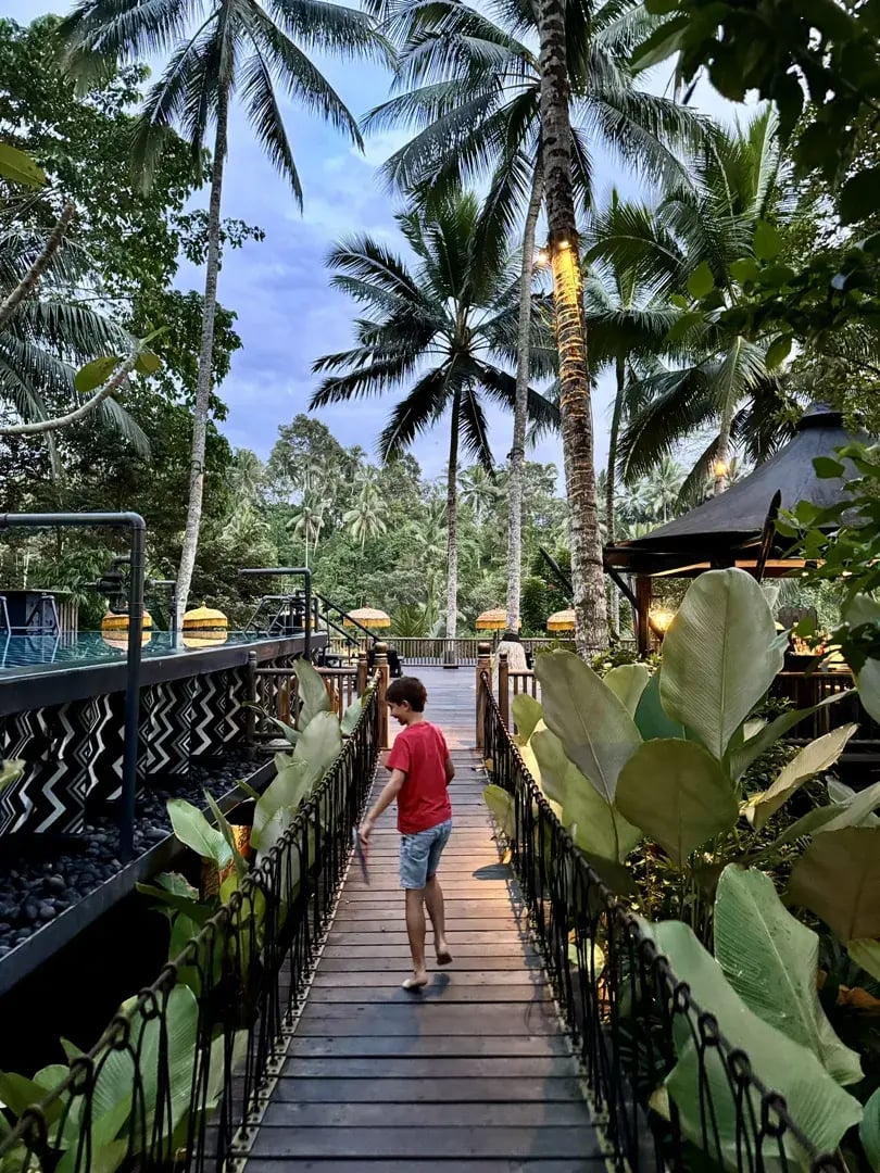 capella ubud p19