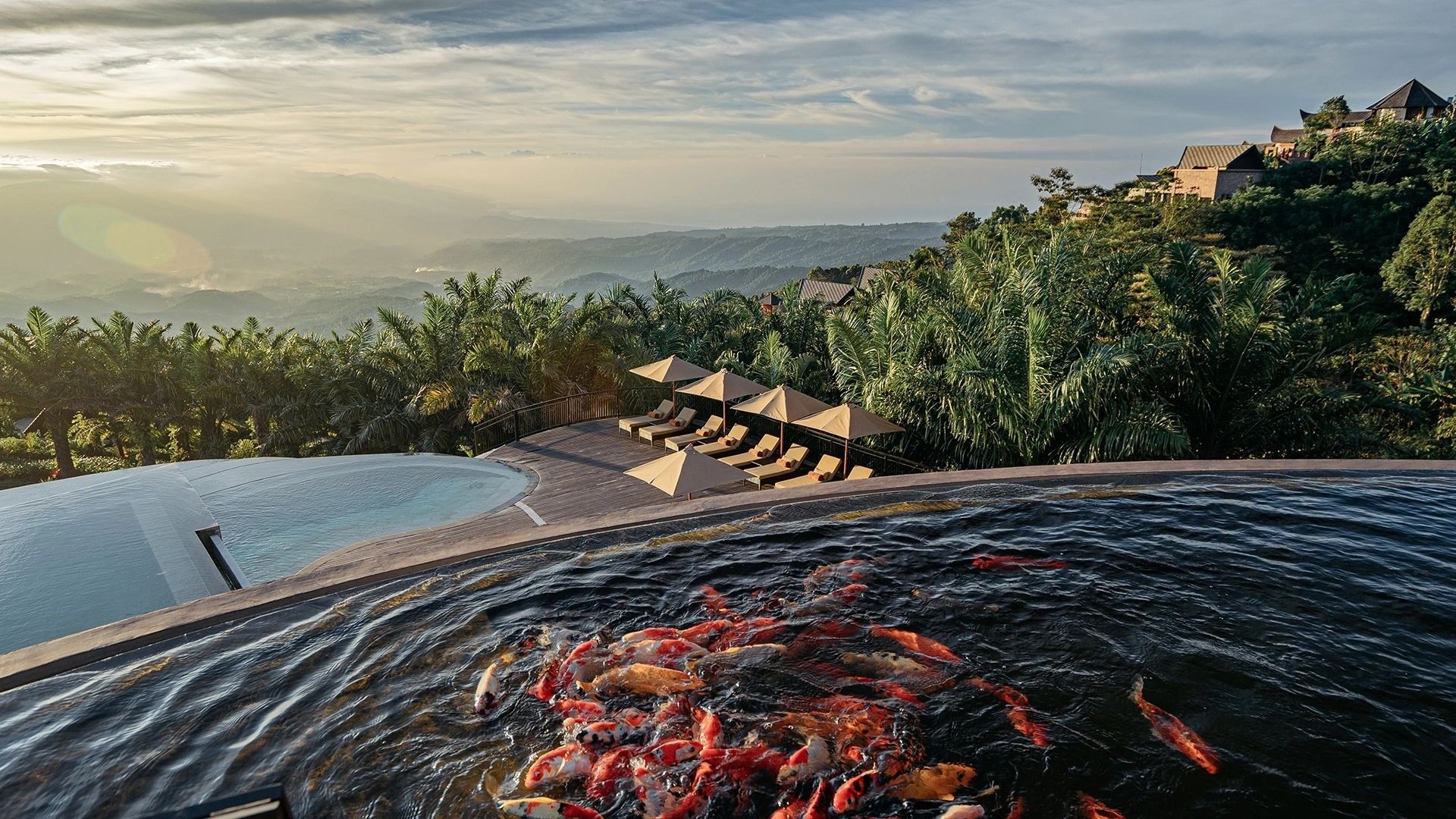 Ausblick vom Pool des Elevate Bali