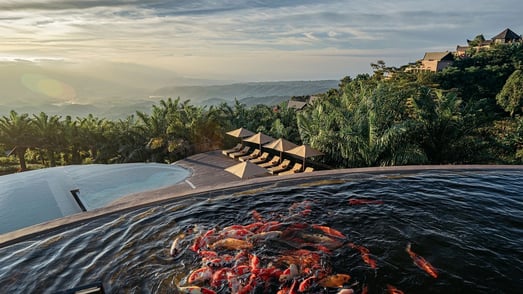 Ausblick vom Pool des Elevate Bali