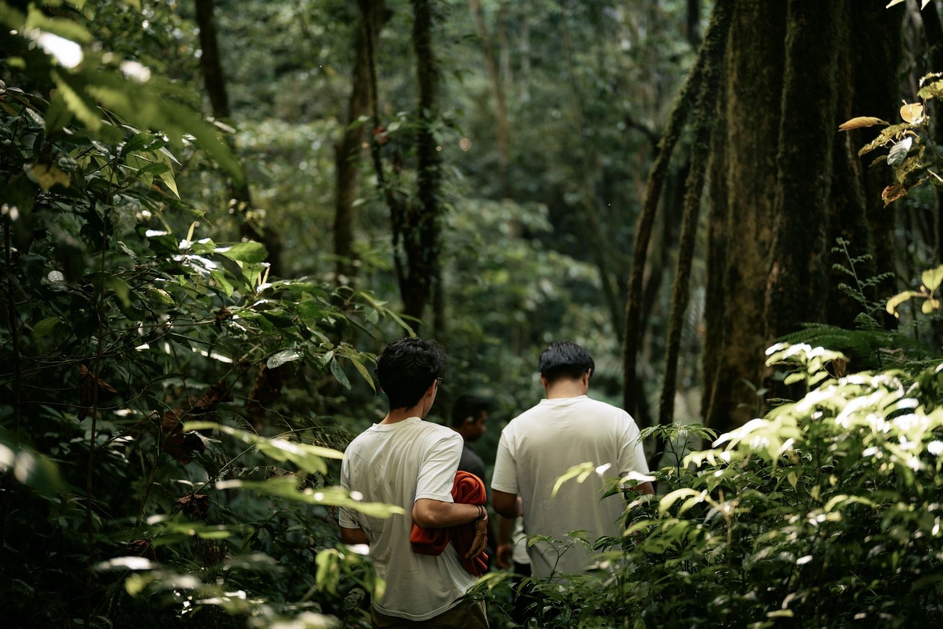 Naturwanderung auf Bali