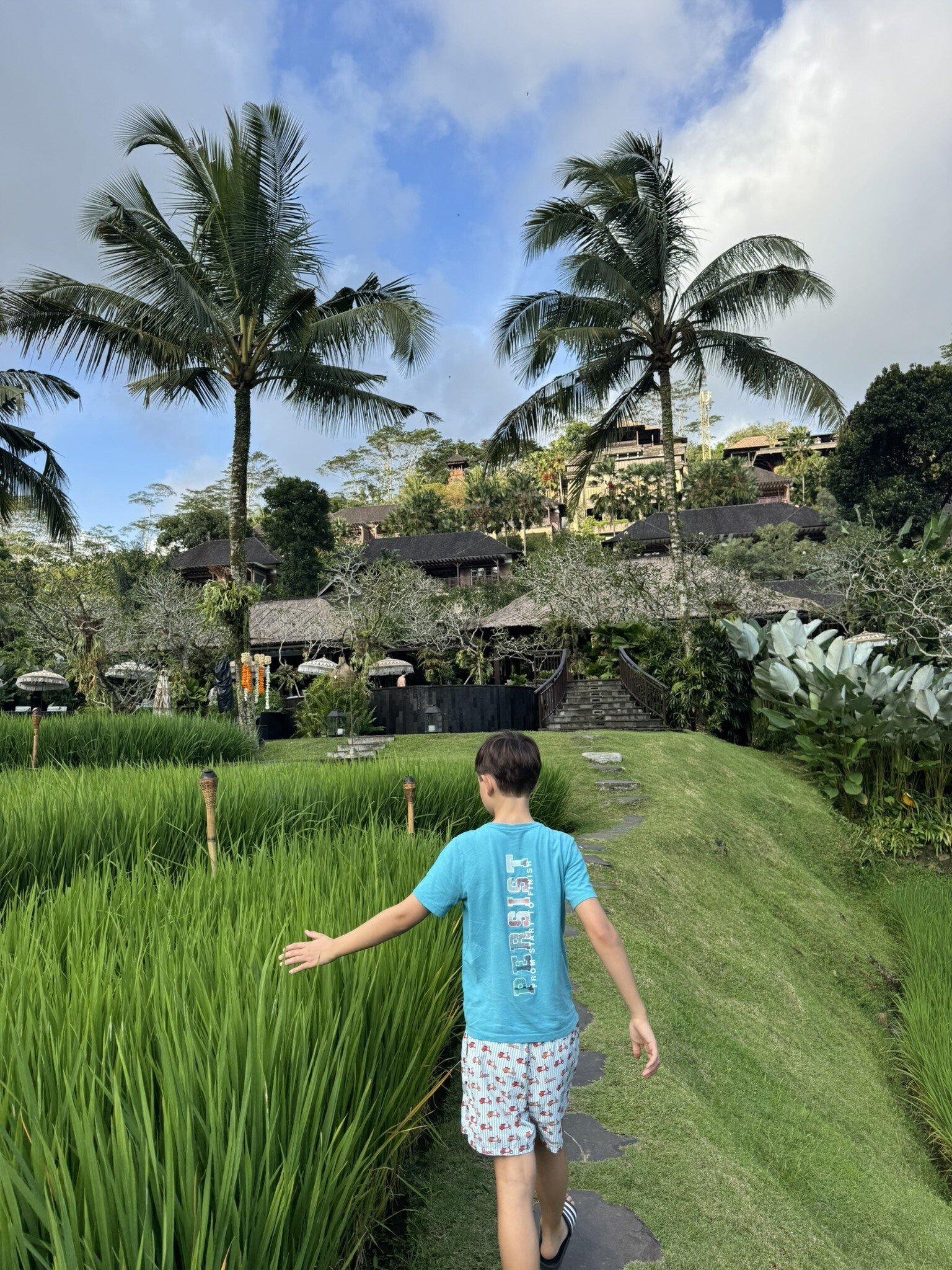 Mandapa Wanderung durch die Reisfelder