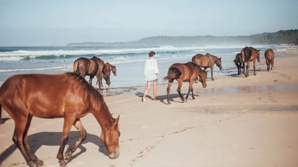 nihi-sumba-pferdereiten