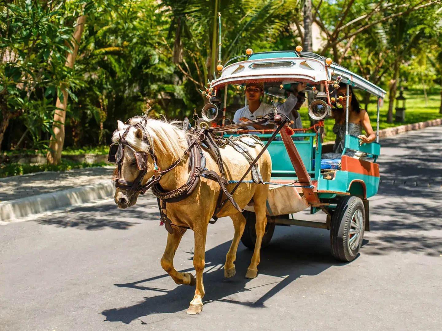 oberoi lombok indonesien the family project familienluxusreise unterkunft garten