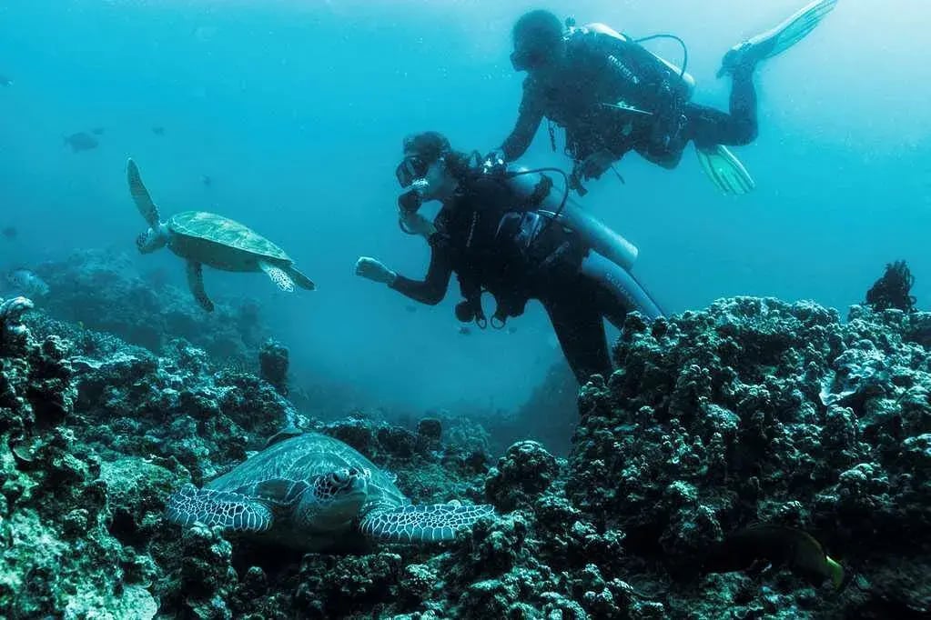 amanpulo diving