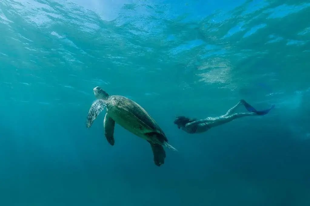amanpulo snorkelling