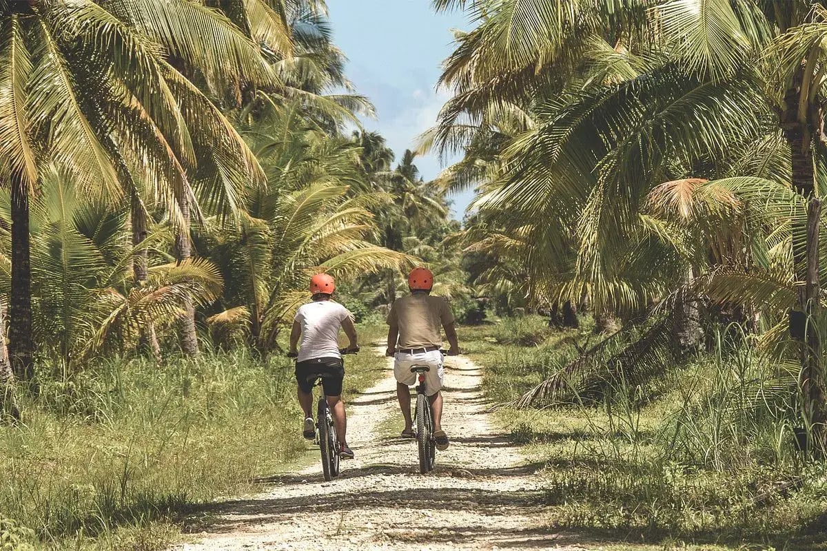 nay palad bikes
