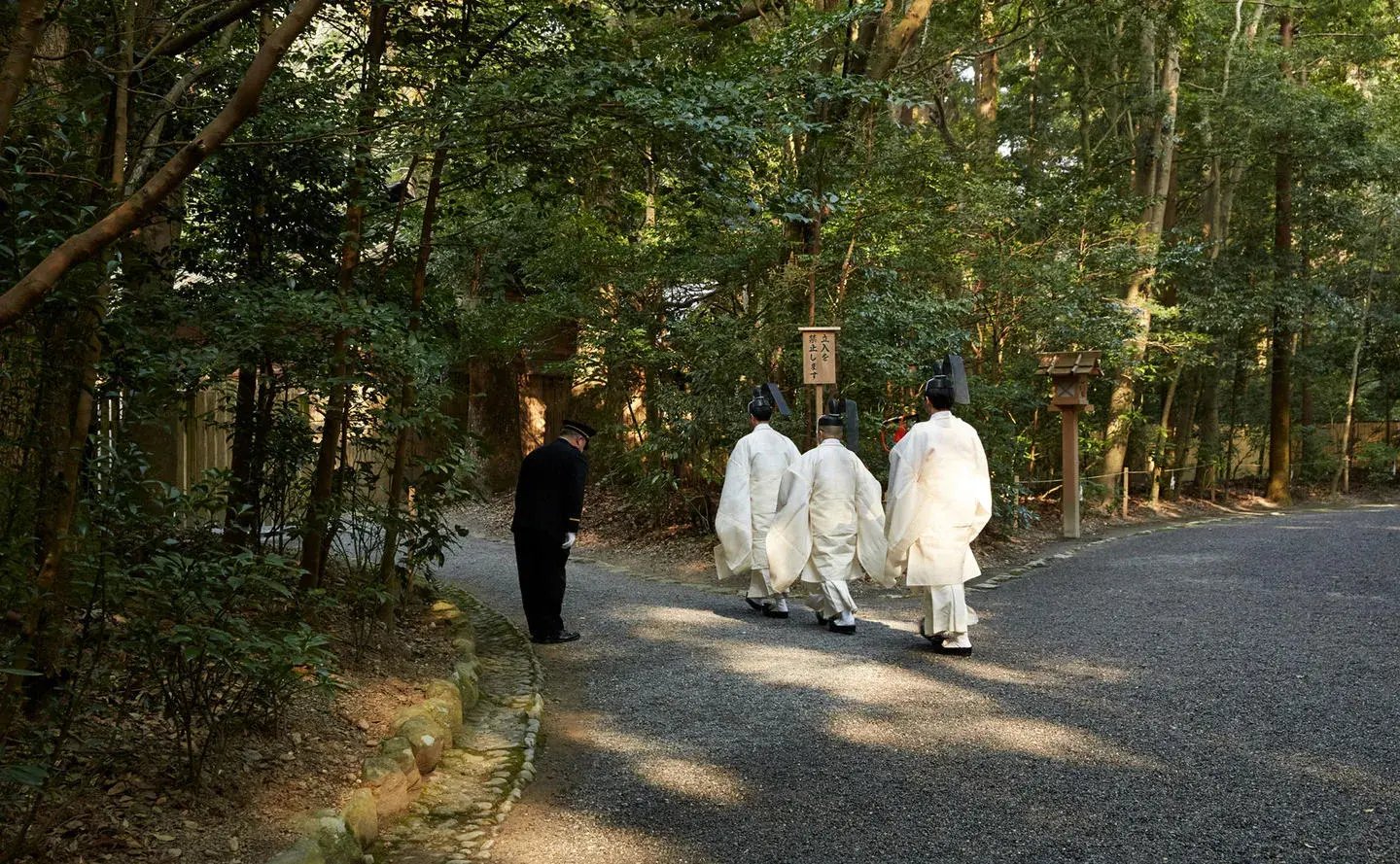 amanemu kultur