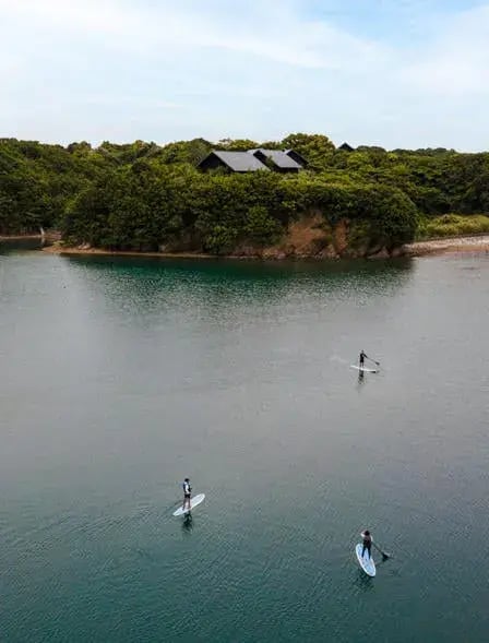 amanemu paddle