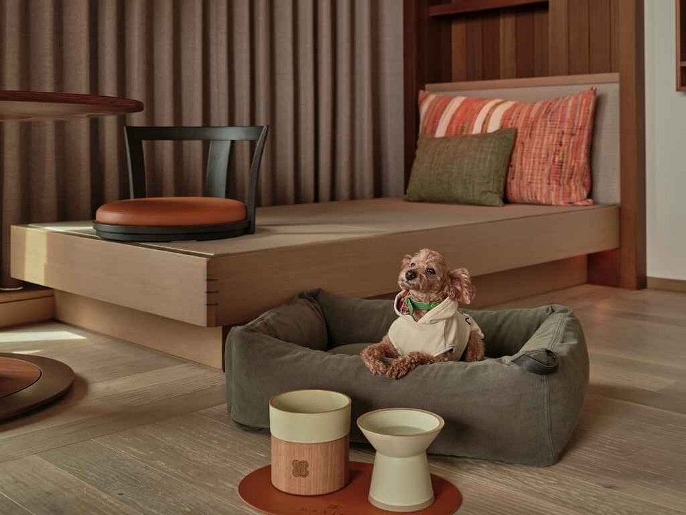 patina-osaka-japan-familienluxusreisen-thefamilyproject-hund