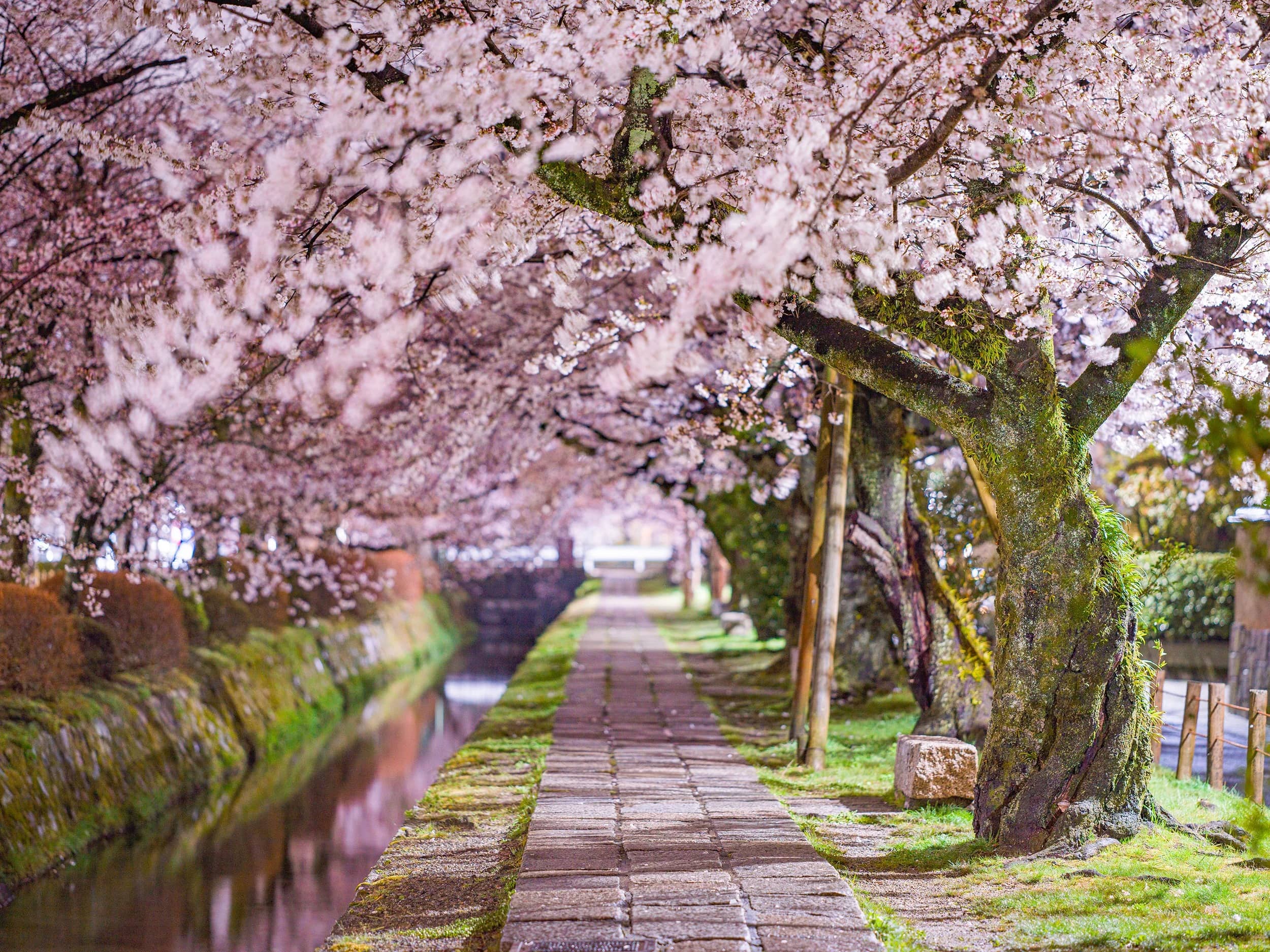 six-senses-kyoto-familienluxusreisen-thefamilyproject-tetsguaku