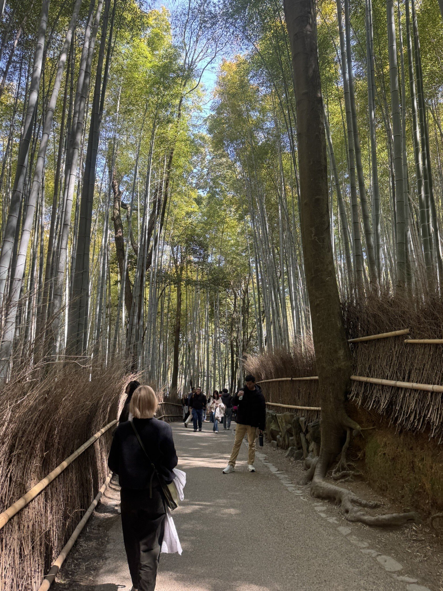 Four Seasons Kyoto Ausflug Babuswald