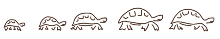 5 gezeichnete Schildkröten von klein bis groß aus dem Logo von The Family Project