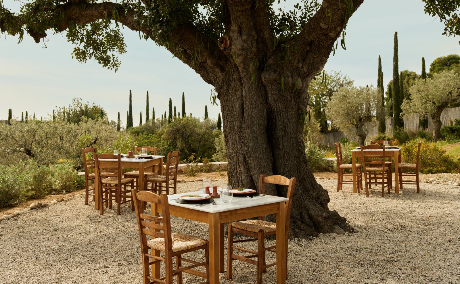 amanzoe-peloponnes-familienluxusreisen-lunch-baum