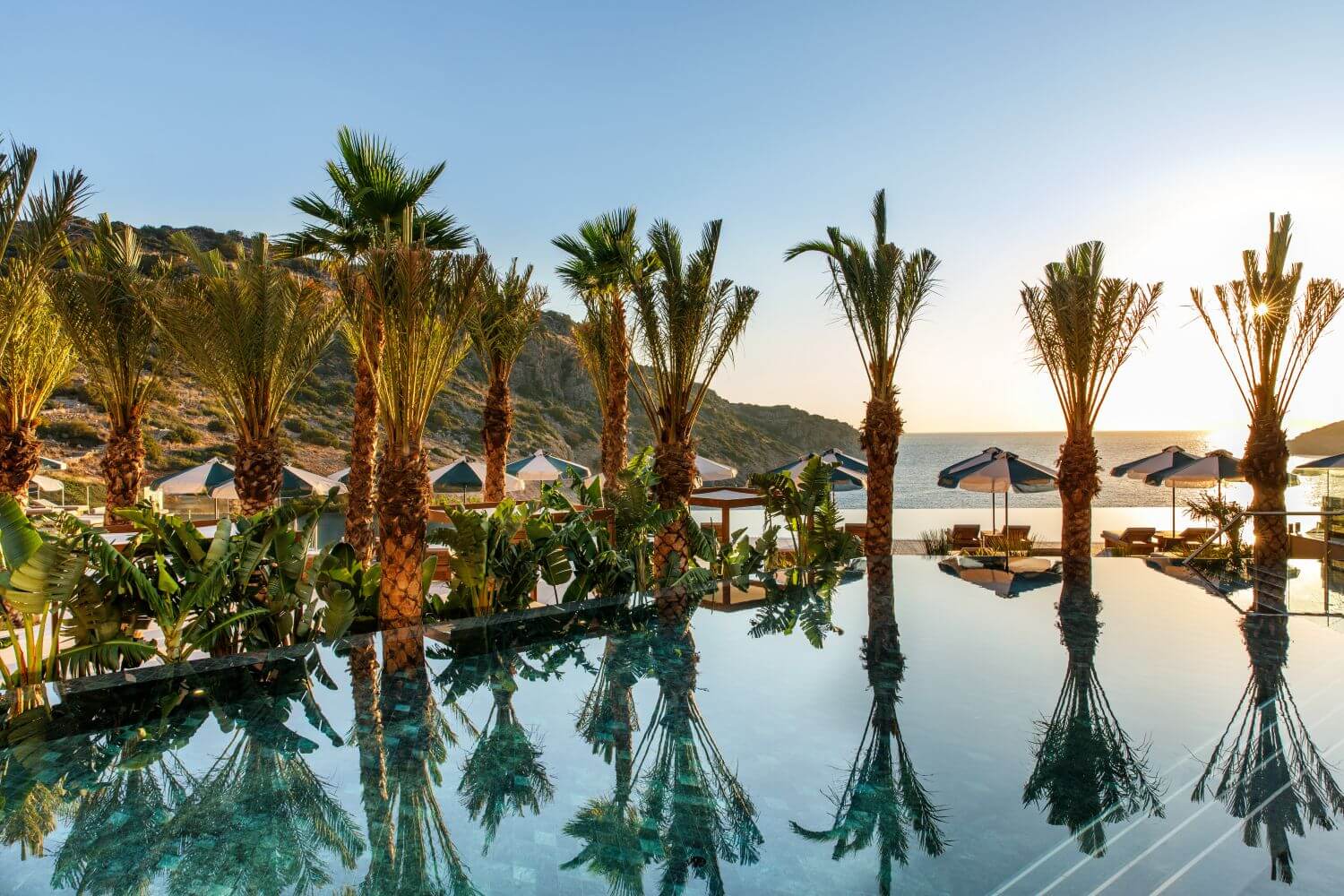 daios-cove-kreta-familienluxusreisen-pool-palmen