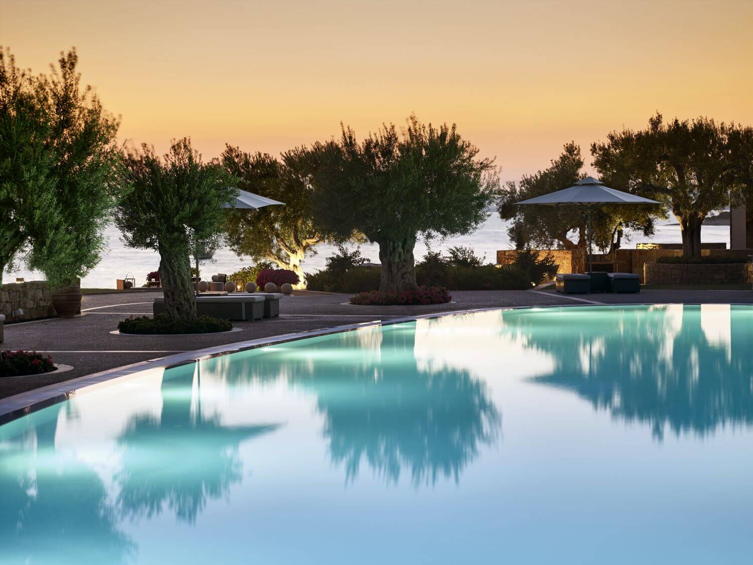 Ikos-Olivia-familienluxusreisen-pool-olivenbäume